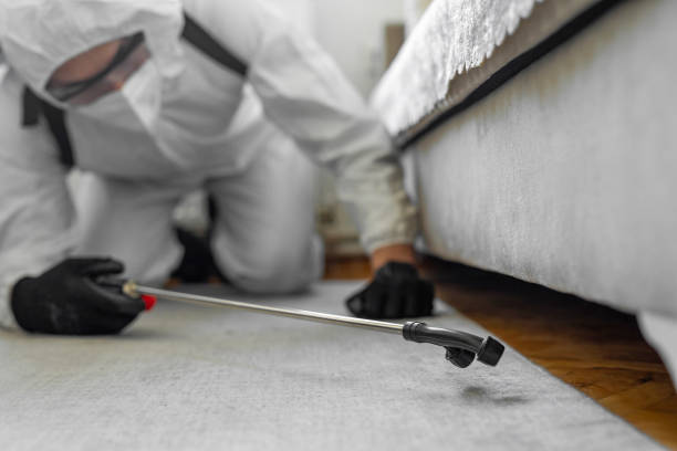 Professional Bed Bug Control technician working in North Conway, NH