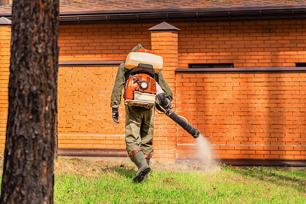 Trusted Cockroach Control service in North Conway, NH - Nex Pest Control